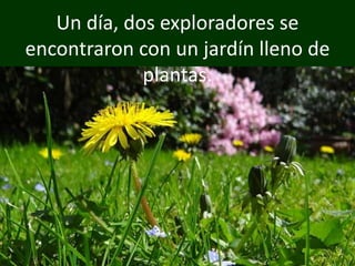 Un día, dos exploradores se
encontraron con un jardín lleno de
plantas.