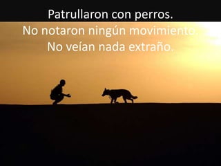 Patrullaron con perros.
No notaron ningún movimiento.
No veían nada extraño.