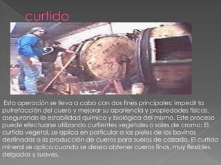 Esta operación se lleva a cabo con dos fines principales: impedir la
putrefacción del cuero y mejorar su apariencia y propiedades físicas,
asegurando la estabilidad química y biológica del mismo. Este proceso
puede efectuarse utilizando curtientes vegetales o sales de cromo; El
curtido vegetal, se aplica en particular a las pieles de los bovinos
destinadas a la producción de cueros para suelas de calzado. El curtido
mineral se aplica cuando se desea obtener cueros finos, muy flexibles,
delgados y suaves.
 