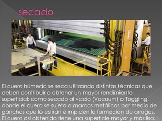 El cuero húmedo se seca utilizando distintas técnicas que
deben contribuir a obtener un mayor rendimiento
superficial: como secado al vacío (Vacuum) o Toggling,
donde el cuero se sujeta a marcos metálicos por medio de
ganchos que lo estiran e impiden la formación de arrugas.
El cuero así obtenido tiene una superficie mayor y más lisa.
 
