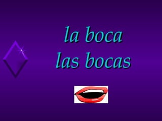 la boca las bocas 