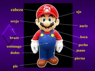 cabeza ojo oreja nariz boca brazo mano dedos pierna pie estómago pecho 