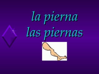 la pierna las piernas 