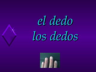 el dedo los dedos 