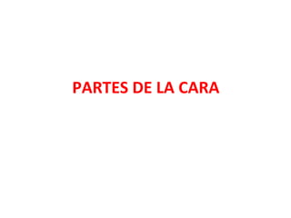 PARTES DE LA CARA
 