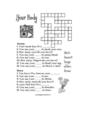 crossword of the body