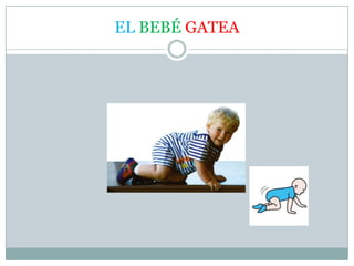 EL BEBÉ GATEA
 