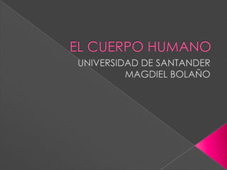 EL CUERPO HUMANO UNIVERSIDAD DE SANTANDER MAGDIEL BOLAÑO 