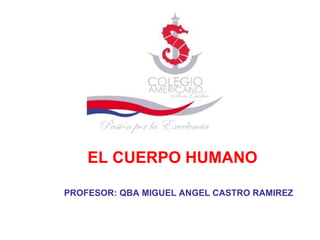 EL CUERPO HUMANO PROFESOR: QBA MIGUEL ANGEL CASTRO RAMIREZ 