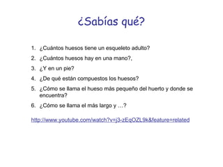 ¿Sabías qué? ¿Cuántos huesos tiene un esqueleto adulto? ¿Cuántos huesos hay en una mano?,  ¿Y en un pie? ¿De qué están compuestos los huesos? ¿Cómo se llama el hueso más pequeño del huerto y donde se encuentra? ¿Cómo se llama el más largo y …? http://www.youtube.com/watch?v=j3-zEqOZL9k&feature=related 
