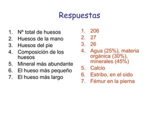 Respuestas Nº total de huesos Huesos de la mano Huesos del pie Composición de los huesos Mineral más abundante El hueso más pequeño El hueso más largo 206 27 26 Agua (25%), materia orgánica (30%), minerales (45%) Calcio Estribo, en el oido Fémur en la pierna 