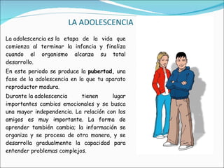 LA ADOLESCENCIA La adolescencia es la etapa de la vida que comienza al terminar la infancia y finaliza cuando el organismo alcanza su total desarrollo. En este periodo se produce la  pubertad,  una fase de la adolescencia en la que tu aparato reproductor madura.  Durante la adolescencia tienen lugar importantes cambios emocionales y se busca una mayor independencia. La relación con los amigos es muy importante. La forma de aprender también cambia; la información se organiza y se procesa de otra manera, y se desarrolla gradualmente la capacidad para entender problemas complejos. 