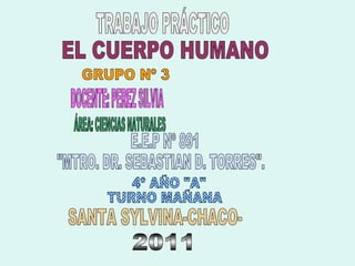 TRABAJO PRÁCTICO EL CUERPO HUMANO E.E.P Nº 891 &quot;MTRO. DR. SEBASTIAN D. TORRES&quot;. 4º AÑO &quot;A&quot; TURNO MAÑANA SANTA SYLVINA-CHACO- 2011 GRUPO Nº 3 DOCENTE: PEREZ SILVIA ÁREA: CIENCIAS NATURALES 