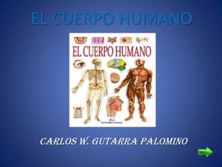 EL CUERPO HUMANO




Carlos W. Gutarra Palomino
 