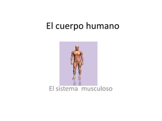 El cuerpo humano




El sistema musculoso
 