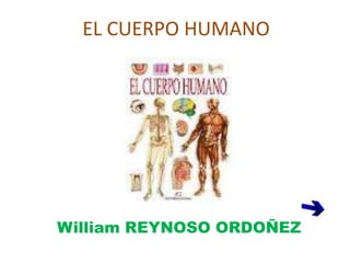 EL CUERPO HUMANO




William REYNOSO ORDOÑEZ
 