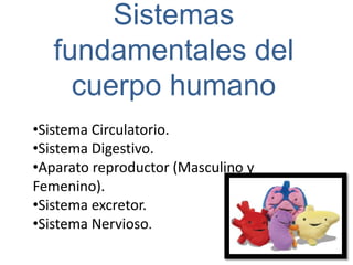 Sistemas
   fundamentales del
     cuerpo humano
•Sistema Circulatorio.
•Sistema Digestivo.
•Aparato reproductor (Masculino y
Femenino).
•Sistema excretor.
•Sistema Nervioso.
 