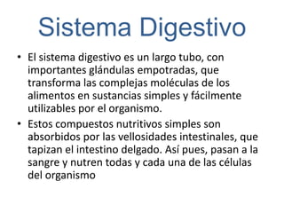 Sistema Digestivo
• El sistema digestivo es un largo tubo, con
  importantes glándulas empotradas, que
  transforma las complejas moléculas de los
  alimentos en sustancias simples y fácilmente
  utilizables por el organismo.
• Estos compuestos nutritivos simples son
  absorbidos por las vellosidades intestinales, que
  tapizan el intestino delgado. Así pues, pasan a la
  sangre y nutren todas y cada una de las células
  del organismo
 