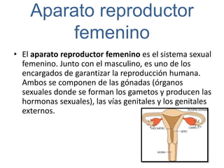 Aparato reproductor
        femenino
• El aparato reproductor femenino es el sistema sexual
  femenino. Junto con el masculino, es uno de los
  encargados de garantizar la reproducción humana.
  Ambos se componen de las gónadas (órganos
  sexuales donde se forman los gametos y producen las
  hormonas sexuales), las vías genitales y los genitales
  externos.
 