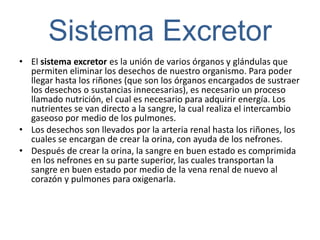 Sistema Excretor
• El sistema excretor es la unión de varios órganos y glándulas que
  permiten eliminar los desechos de nuestro organismo. Para poder
  llegar hasta los riñones (que son los órganos encargados de sustraer
  los desechos o sustancias innecesarias), es necesario un proceso
  llamado nutrición, el cual es necesario para adquirir energía. Los
  nutrientes se van directo a la sangre, la cual realiza el intercambio
  gaseoso por medio de los pulmones.
• Los desechos son llevados por la arteria renal hasta los riñones, los
  cuales se encargan de crear la orina, con ayuda de los nefrones.
• Después de crear la orina, la sangre en buen estado es comprimida
  en los nefrones en su parte superior, las cuales transportan la
  sangre en buen estado por medio de la vena renal de nuevo al
  corazón y pulmones para oxigenarla.
 