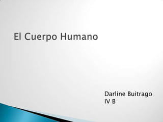 Darline Buitrago
IV B
 