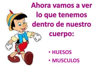 • HUESOS
• MUSCULOS
 
