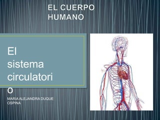 El
sistema
circulatori
o
MARIA ALEJANDRA DUQUE
OSPINA
 