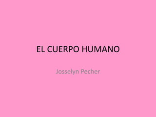 EL CUERPO HUMANO

   Josselyn Pecher
 
