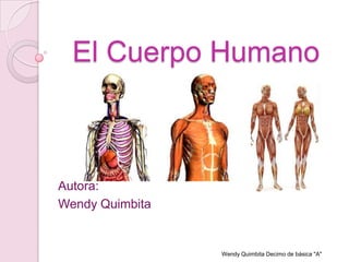 El Cuerpo Humano



Autora:
Wendy Quimbita


                 Wendy Quimbita Decimo de básica "A"
 