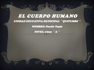 EL CUERPO HUMANO
UNIDAD EDUCATIVA MUNICIPAL ´´QUITUMBE´´
          NOMBRE: Danilo Tapia
            NIVEL: 10mo ´´A´´




                                          1
 