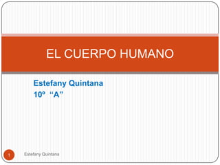 EL CUERPO HUMANO

        Estefany Quintana
        10º “A”




1   Estefany Quintana
 