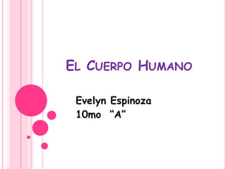 EL CUERPO HUMANO

 Evelyn Espinoza
 10mo “A”
 