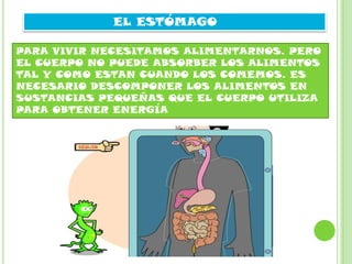 EL ESTÓMAGO
PARA VIVIR NECESITAMOS ALIMENTARNOS. PERO
EL CUERPO NO PUEDE ABSORBER LOS ALIMENTOS
TAL Y COMO ESTAN CUANDO LOS COMEMOS. ES
NECESARIO DESCOMPONER LOS ALIMENTOS EN
SUSTANCIAS PEQUEÑAS QUE EL CUERPO UTILIZA
PARA OBTENER ENERGÍA
 