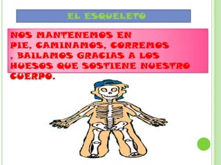EL ESQUELETO
NOS MANTENEMOS EN
PIE, CAMINAMOS, CORREMOS
, BAILAMOS GRACIAS A LOS
HUESOS QUE SOSTIENE NUESTRO
CUERPO.
 