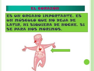 EL CORAZÓN
ES UN ORGANO IMPORTANTE. ES
UN MÚSCULO QUE NO DEJA DE
LATIR, NI SIQUIERA DE NOCHE. SI
SE PARA NOS MORIMOS.
 