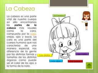 La Cabeza
La nariz
El Cerebro
La boca
La cabeza es una parte
vital de nuestro cuerpo
en ella encontramos
las partes de la
cabeza más visuales
como la cara,
compuesta por la nariz,
orejas, ojos y boca. La
cara es una parte del
cuerpo humano que nos
caracteriza de una
manera especial, nos
diferencia de la gente
por las distintas formas y
tamaños de los distintos
órganos como puede
ser el color de los ojos o
la forma de la nariz.
Los ojos
Los oídos
 