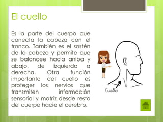 El cuello
Es la parte del cuerpo que
conecta la cabeza con el
tronco. También es el sostén
de la cabeza y permite que
se balancee hacia arriba y
abajo, de izquierda a
derecha. Otra función
importante del cuello es
proteger los nervios que
transmiten información
sensorial y motriz desde resto
del cuerpo hacia el cerebro.
 