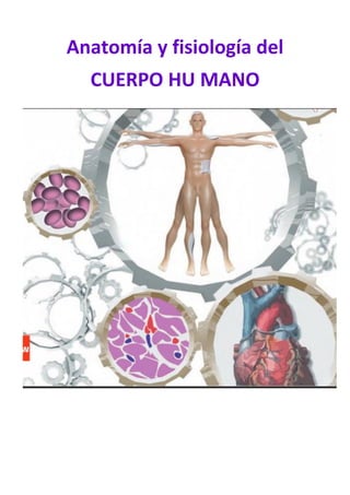 Anatomía y fisiología del
CUERPO HU MANO
 