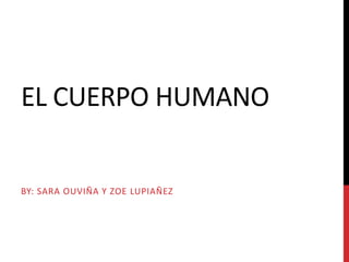EL CUERPO HUMANO 
BY: SARA OUVIÑA Y ZOE LUPIAÑEZ 
 