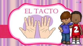 EL TACTO
20
 