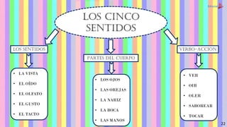 LOS CINCO
SENTIDOS
LOS SENTIDOS
PARTES DEL CUERPO
VERBO-ACCIÓN
• LA VISTA
• EL OÍDO
• EL OLFATO
• EL GUSTO
• EL TACTO
• LOS OJOS
• LAS OREJAS
• LA NARIZ
• LA BOCA
• LAS MANOS
• VER
• OIR
• OLER
• SABOREAR
• TOCAR
22
 
