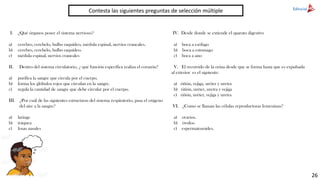 Contesta las siguientes preguntas de selección múltiple
I. ¿Qué órganos posee el sistema nervioso?
a) cerebro, cerebelo, bulbo raquídeo, médula espinal, nervios craneales.
b) cerebro, cerebelo, bulbo raquídeo.
c) médula espinal, nervios craneales
II. Dentro del sistema circulatorio, ¿ qué función específica realiza el corazón?
a) purifica la sangre que circula por el cuerpo.
b) forma los glóbulos rojos que circulan en la sangre.
c) regula la cantidad de sangre que debe circular por el cuerpo.
III. ¿Por cuál de las siguientes estructuras del sistema respiratorio, pasa el oxígeno
del aire a la sangre?
a) laringe
b) tráquea
c) fosas nasales
IV. Desde donde se extiende el aparato digestivo
a) boca a esófago
b) boca a estomago
c) boca a ano
V. El recorrido de la orina desde que se forma hasta que es expulsada
al exterior es el siguiente:
a) riñón, vejiga, uréter y uretra
b) riñón, uréter, uretra y vejiga
c) riñón, uréter, vejiga y uretra
VI. ¿Como se llaman las células reproductoras femeninas?
a) ovarios.
b) óvulos.
c) espermatozoides.
26
 