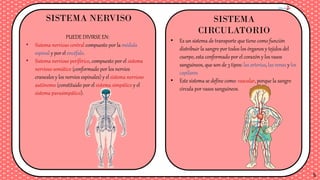 SISTEMA NERVISO SISTEMA
CIRCULATORIO
PUEDE DIVIRSE EN:
• Sistema nervioso central compuesto por la médula
espinal y por el encéfalo.
• Sistema nervioso periférico, compuesto por el sistema
nervioso somático (conformado por los nervios
craneales y los nervios espinales) y el sistema nervioso
autónomo (constituido por el sistema simpático y el
sistema parasimpático).
• Es un sistema de transporte que tiene como función
distribuir la sangre por todos los órganos y tejidos del
cuerpo, esta conformado por el corazón y los vasos
sanguíneos, que son de 3 tipos: las arterias, las venas y los
capilares
• Este sistema se define como: vascular, porque la sangre
circula por vasos sanguíneos.
5
 