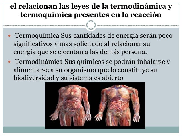Reacciones Quimicas Reversibles En El Cuerpo Humano