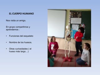 EL CUERPO HUMANO
Nos visita un amigo.
En grupo compartimos y
aprendemos :
• Funciones del esqueleto
• Nombre de los huesos...