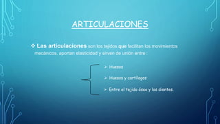 ARTICULACIONES
 Las articulaciones son los tejidos que facilitan los movimientos
mecánicos, aportan elasticidad y sirven de unión entre :
 Huesos
 Huesos y cartílagos
 Entre el tejido óseo y los dientes.
 