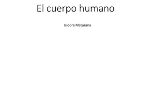 El cuerpo humano
Isidora Maturana
 