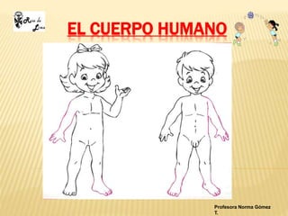 EL CUERPO HUMANO
Profesora Norma Gómez
T.
 