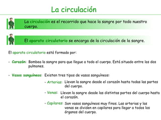 La circulación La  circulación  es el recorrido que hace la sangre por todo nuestro cuerpo. El  aparato circulatorio  se encarga de la circulación de la sangre. El  aparato circulatorio  está formado por: -  Corazón : -  Vasos sanguíneos : Bombea la sangre para que llegue a todo el cuerpo. Está situado entre los dos pulmones. Existen tres tipos de vasos sanguíneos: -  Arterias : -  Venas : Llevan la sangre desde el corazón hasta todas las partes del cuerpo. Llevan la sangre desde las distintas partes del cuerpo hasta el corazón. -  Capilares : Son vasos sanguíneos muy finos. Las arterias y las venas se dividen en capilares para llegar a todos los órganos del cuerpo.  