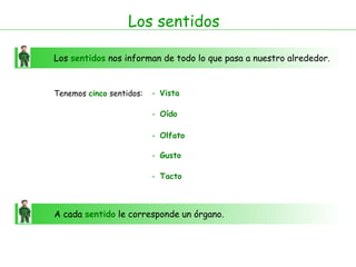 Los sentidos Los  sentidos   nos informan de todo lo que pasa a nuestro alrededor. Tenemos  cinco  sentidos: -   Vista -   Oído -   Olfato -   Gusto -   Tacto  A cada  sentido   le corresponde un órgano. 